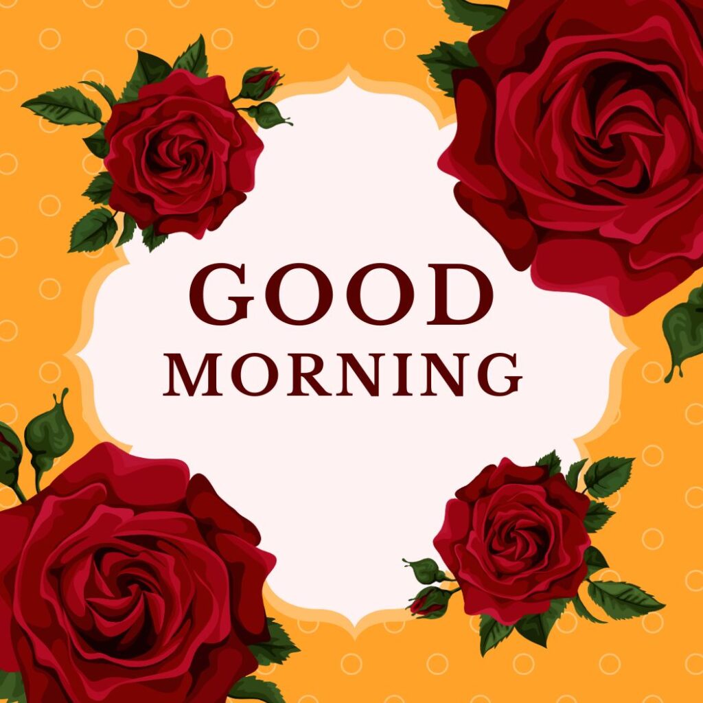 Good morning text with red rose and green leaf.