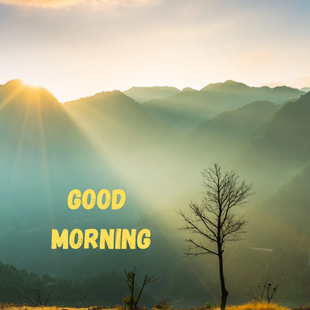 good morning nature images