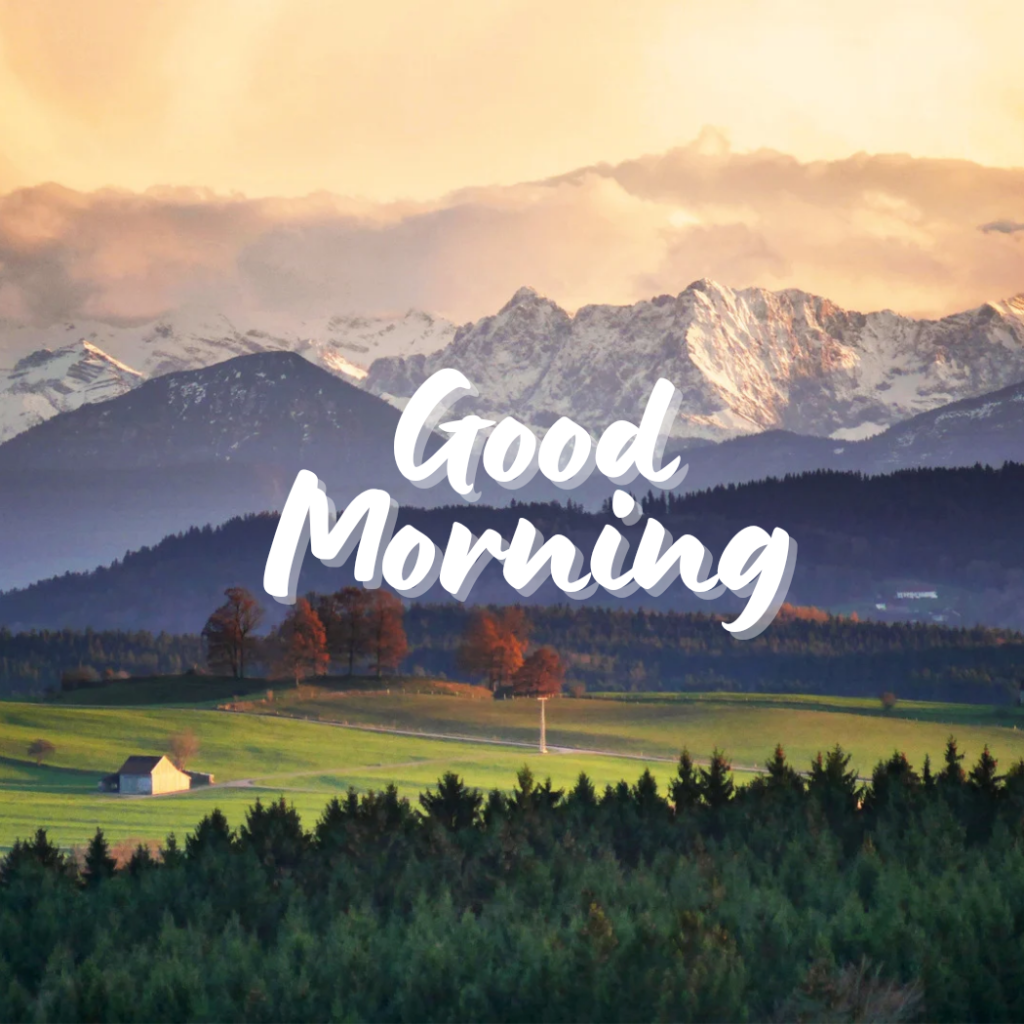 good morning word in nature images