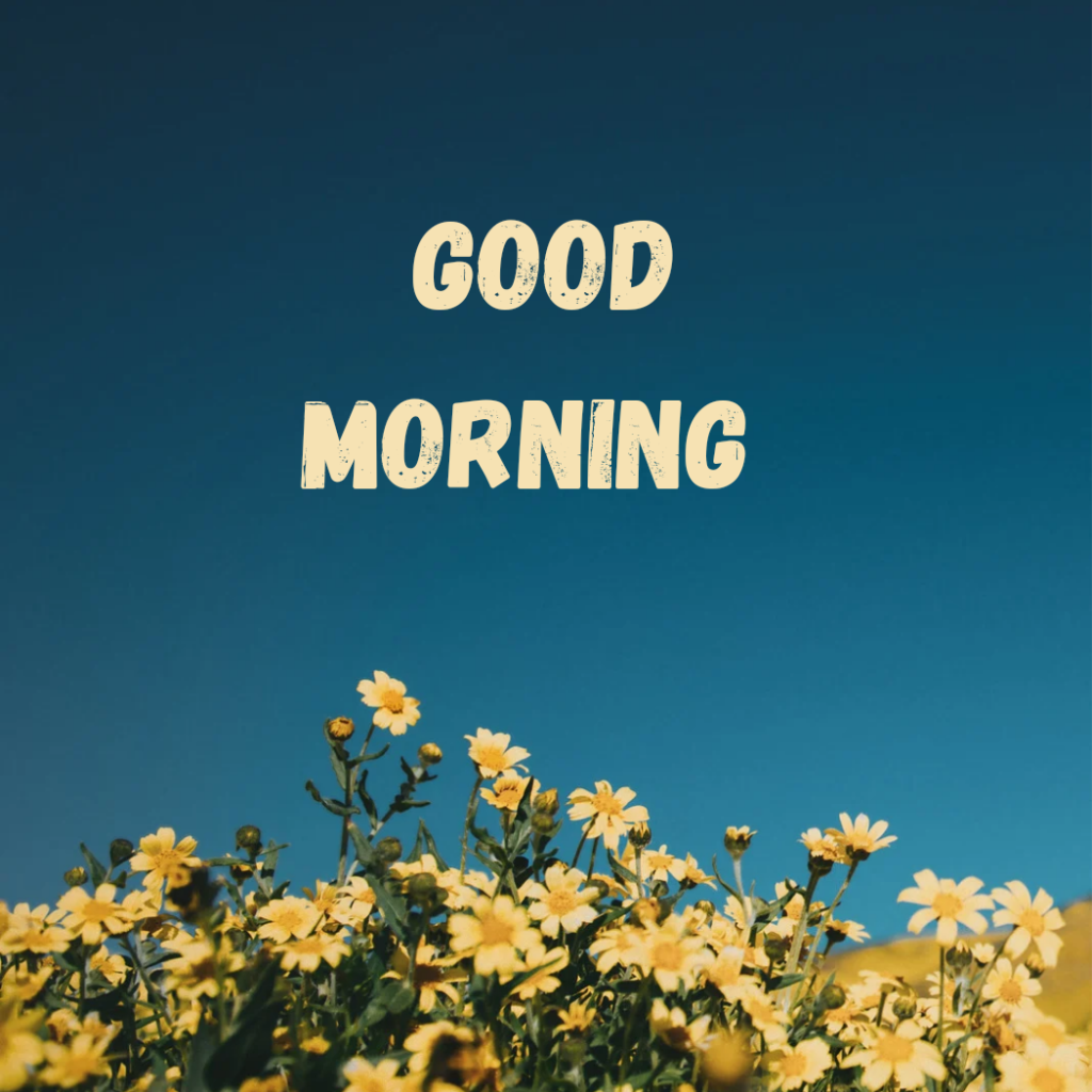 yellow flowers in bottom ,good morning word in blue background.