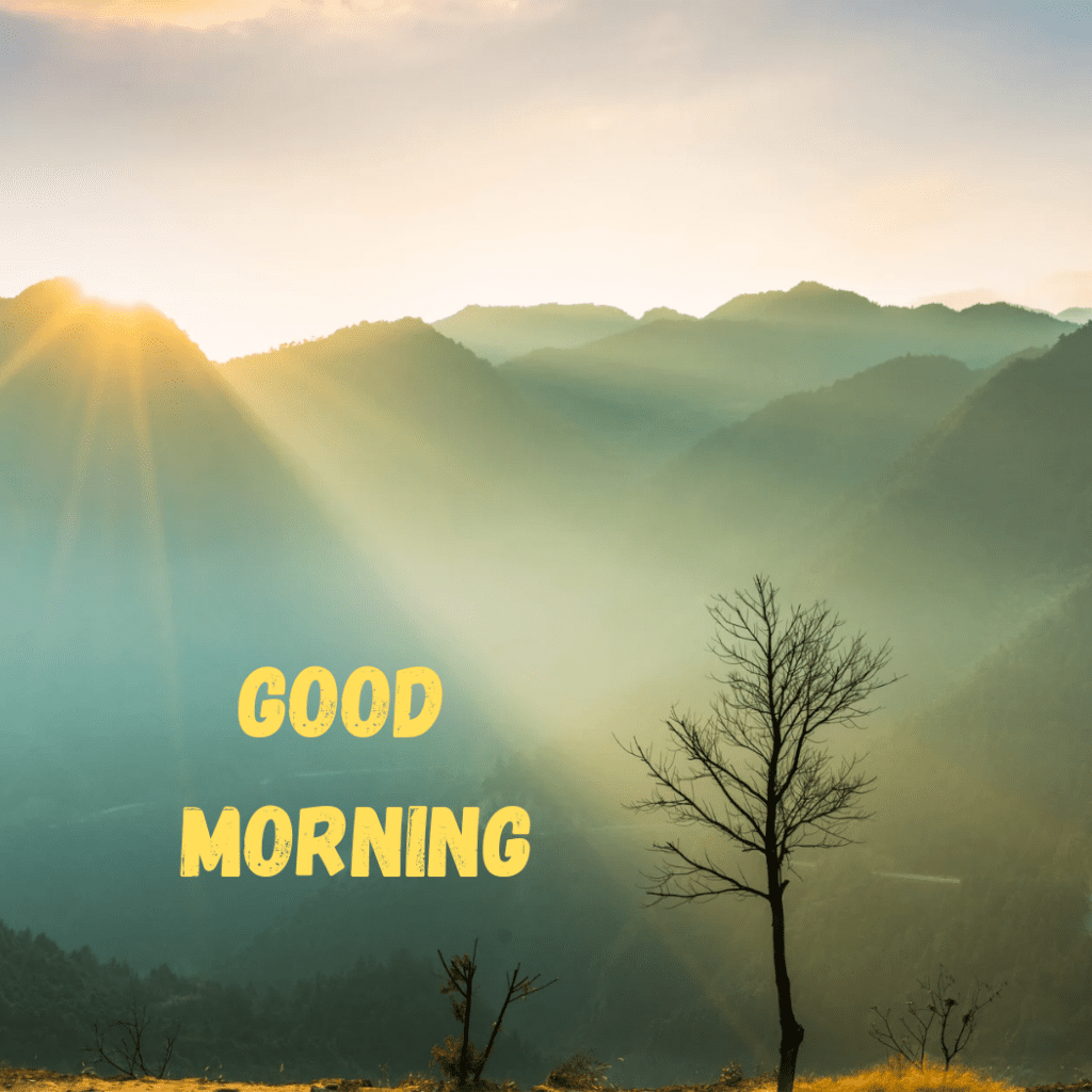 sunrise good morning images with nature