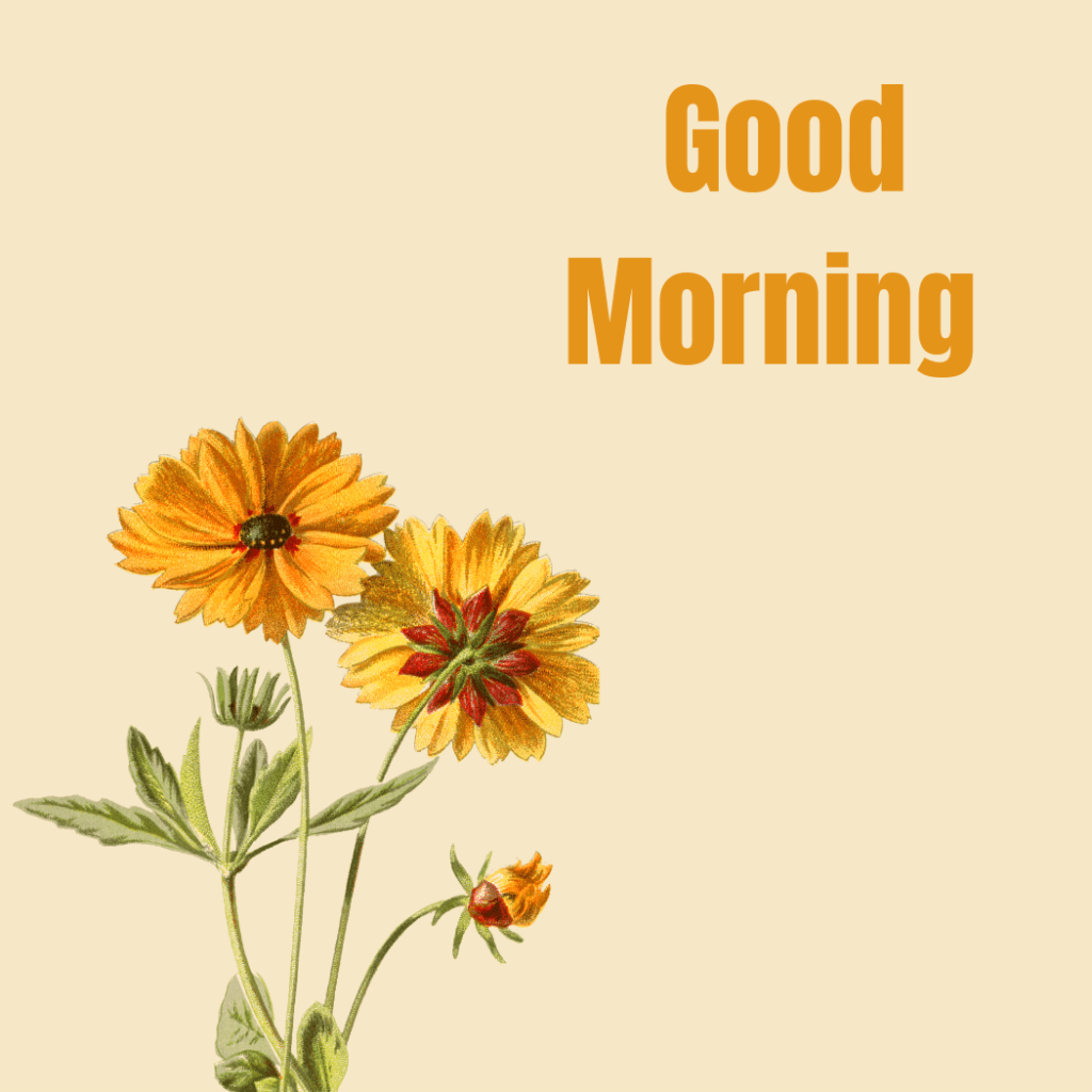 good morning word with yellow flowers