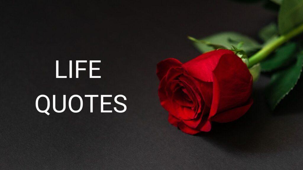 LIFE QUOTES 2